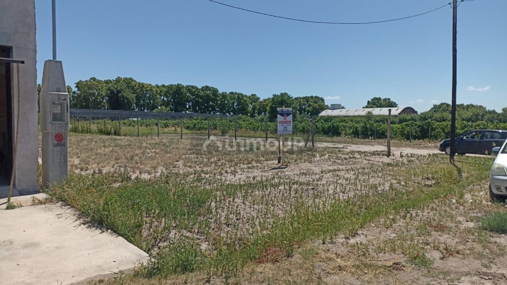 Terreno en Venta en General alvear, Mendoza