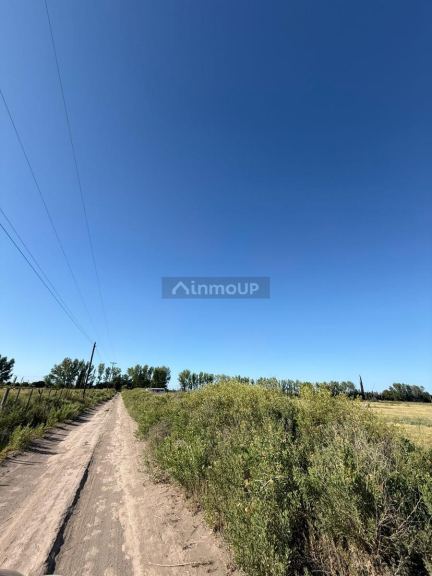 Terreno en Venta en General alvear, Mendoza