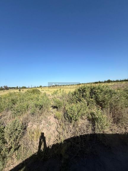 Terreno en Venta en General alvear, Mendoza