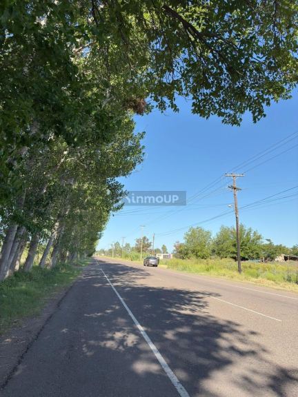 Terreno en Venta en General alvear, Mendoza