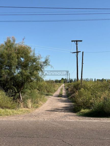Terreno en Venta en General alvear, Mendoza