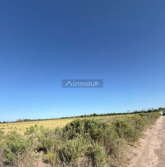Terreno en Venta en General alvear, Mendoza