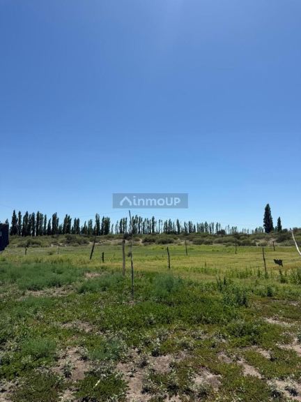 Finca en Venta en San Rafael, Mendoza
