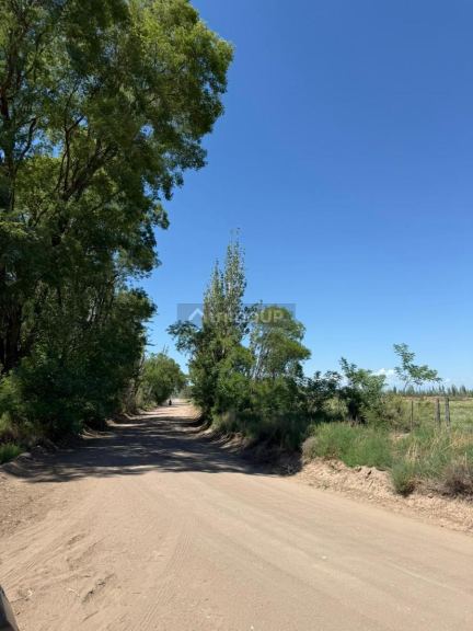 Finca en Venta en San Rafael, Mendoza