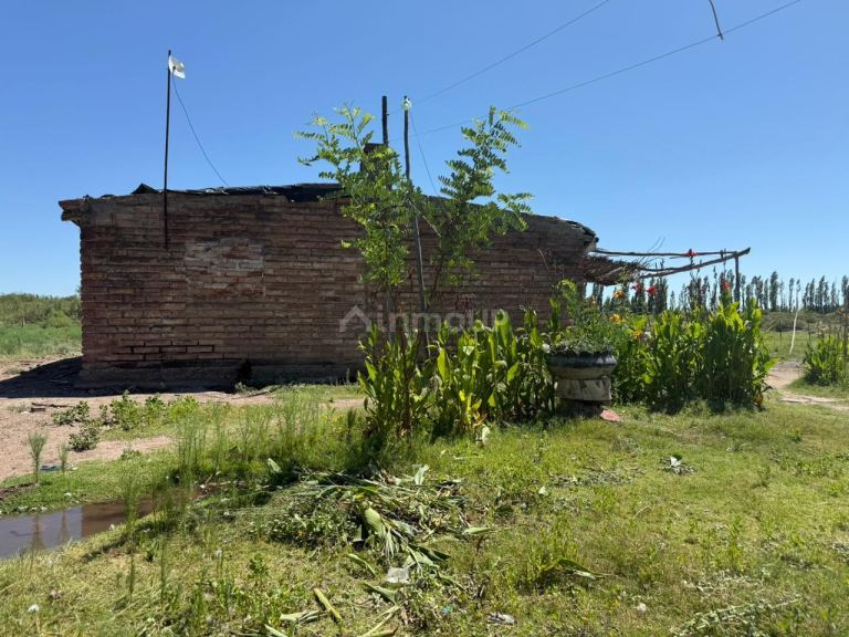 Finca en Venta en San Rafael, Mendoza