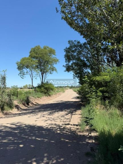 Finca en Venta en San Rafael, Mendoza