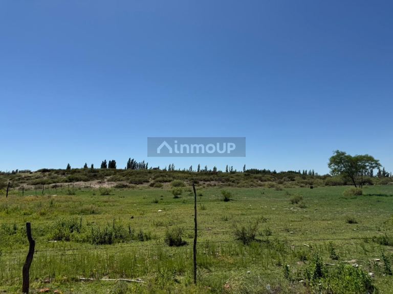 Finca en Venta en San Rafael, Mendoza