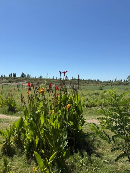 Finca en Venta en San Rafael, Mendoza