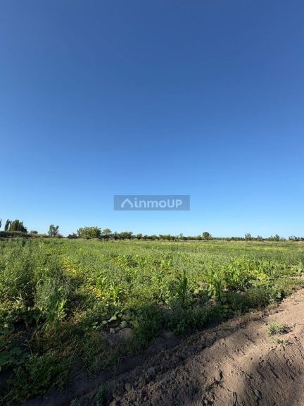 Finca en Venta en General alvear, Mendoza