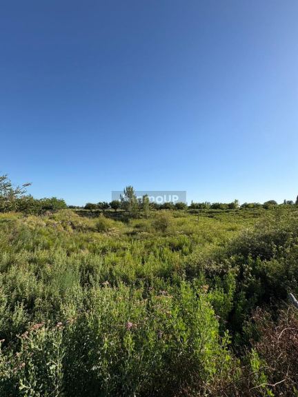 Finca en Venta en General alvear, Mendoza