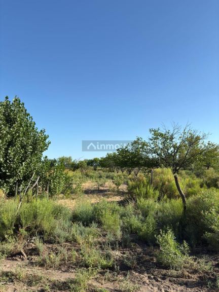 Finca en Venta en General alvear, Mendoza