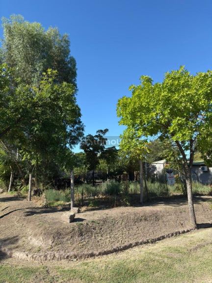 Terreno en Venta en General alvear, Mendoza