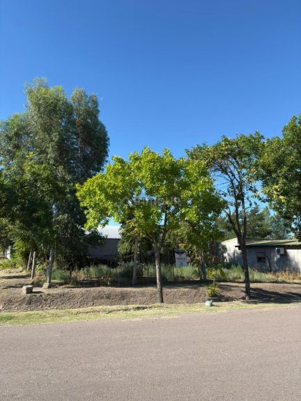 Terreno en Venta en General alvear, Mendoza