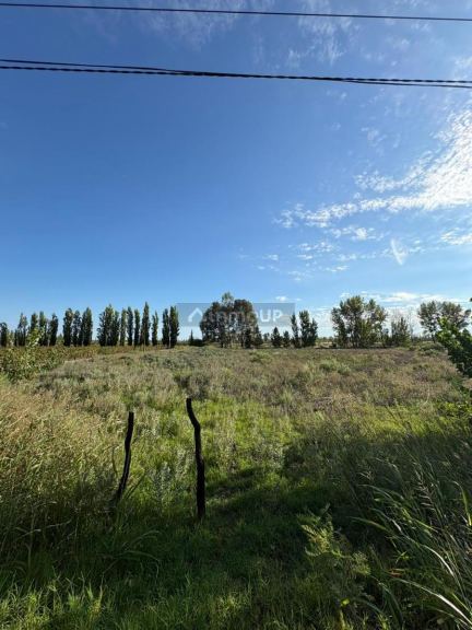 Finca en Venta en General alvear, Mendoza