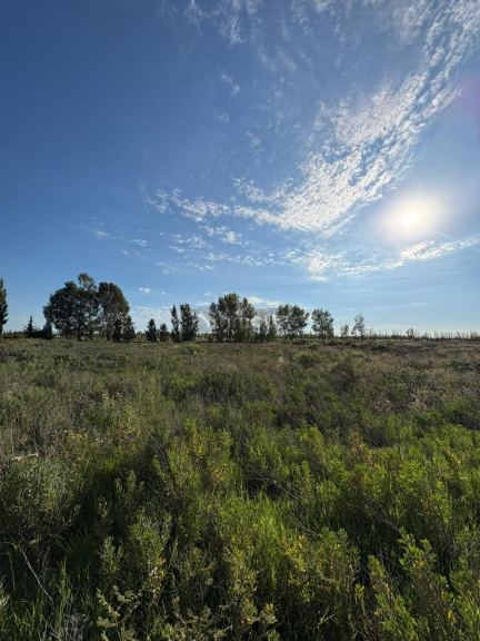 Finca en Venta en General alvear, Mendoza