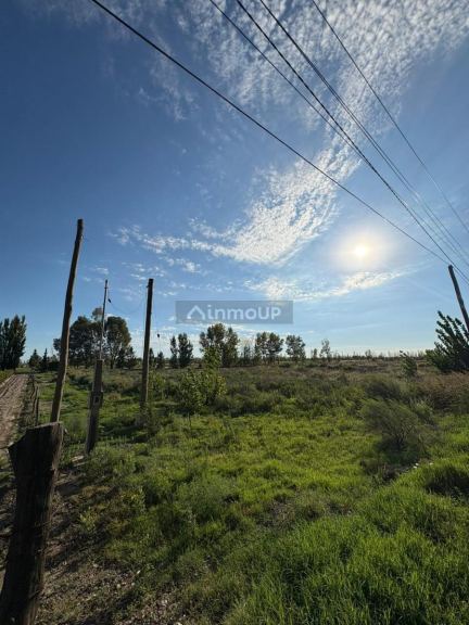 Finca en Venta en General alvear, Mendoza