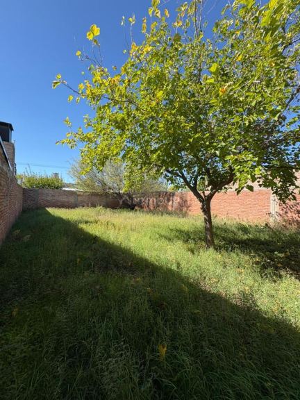 Casa en Venta en General alvear, Mendoza