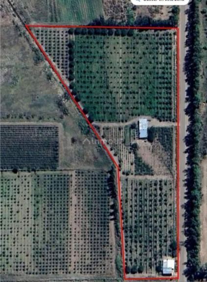 Finca en Venta en San Rafael, Mendoza