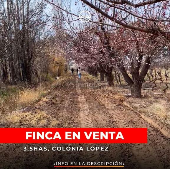 Finca en Venta en San Rafael, Mendoza