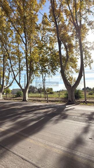 Terreno en Venta en General alvear, Mendoza