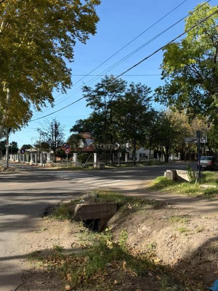 Terreno en Venta en General alvear, Mendoza