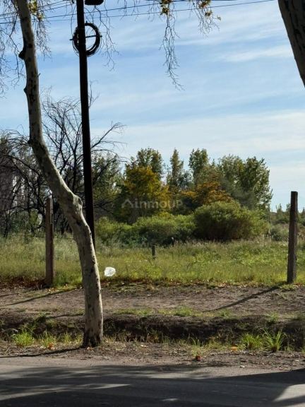 Terreno en Venta en General alvear, Mendoza