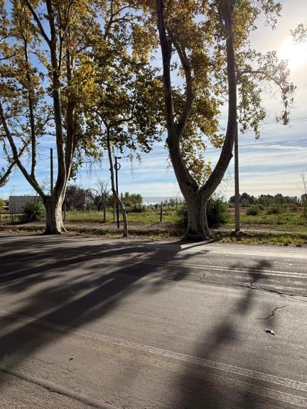 Terreno en Venta en General alvear, Mendoza