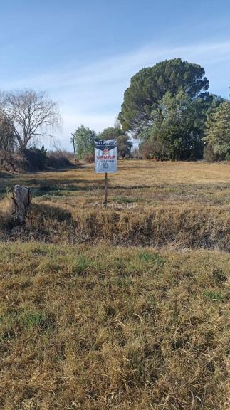 Terreno en Venta en General alvear, Mendoza