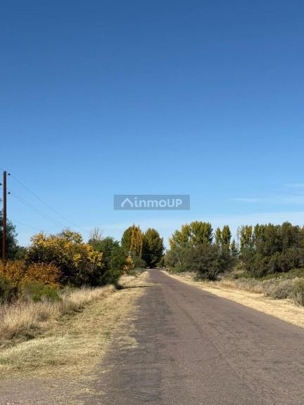 Terreno en Venta en General alvear, Mendoza