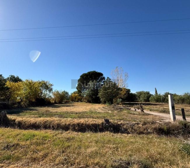Terreno en Venta en General alvear, Mendoza