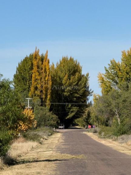Terreno en Venta en General alvear, Mendoza