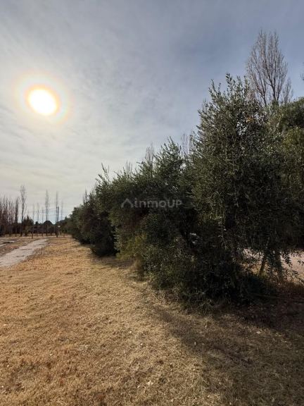 Casa en Venta en San Rafael, Mendoza