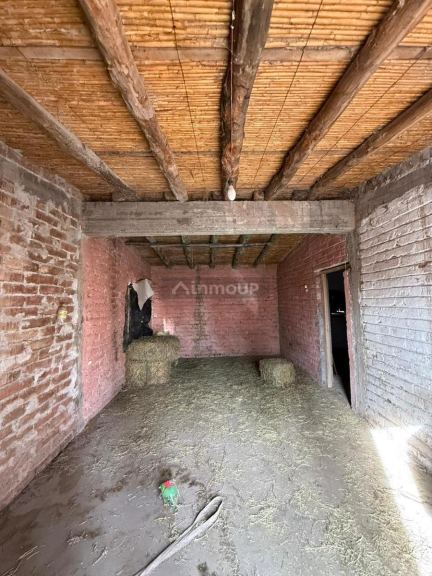 Finca en Venta en San Rafael, Mendoza