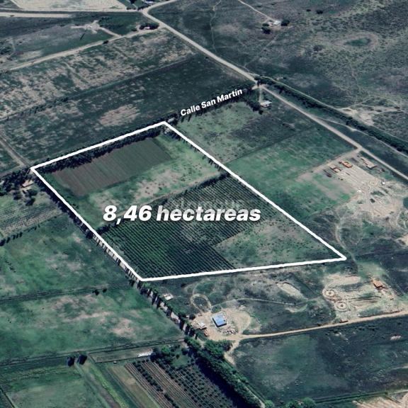 Finca en Venta en San Rafael, Mendoza