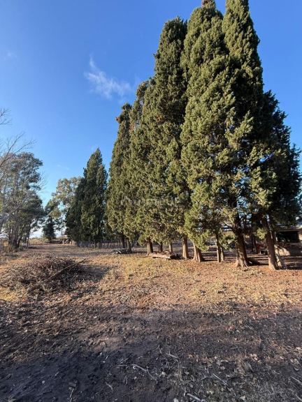 Finca en Venta en San Rafael, Mendoza