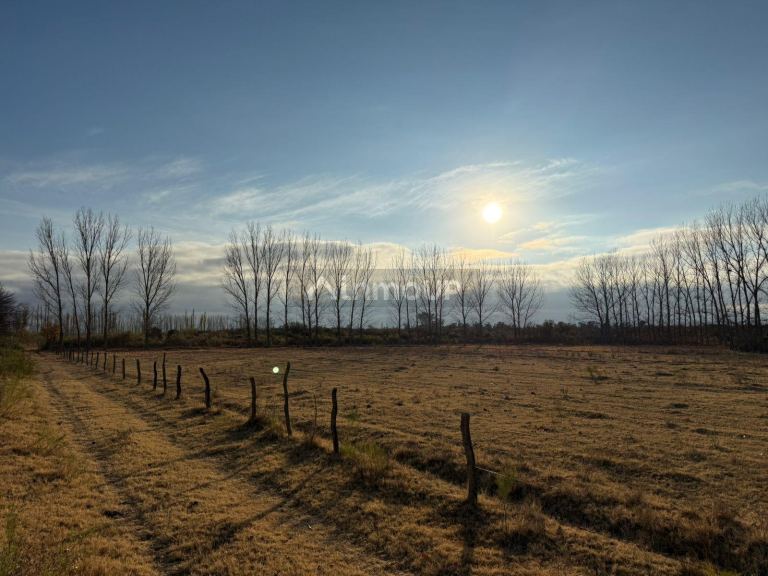 Finca en Venta en San Rafael, Mendoza