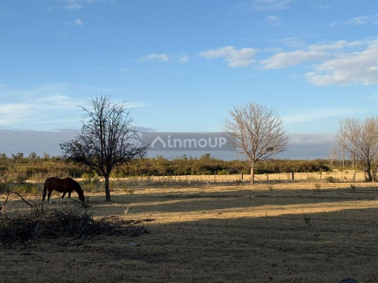 Finca en Venta en San Rafael, Mendoza