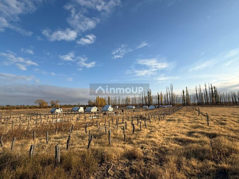 Finca en Venta en San Rafael, Mendoza