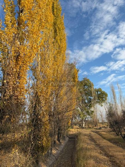 Finca en Venta en San Rafael, Mendoza