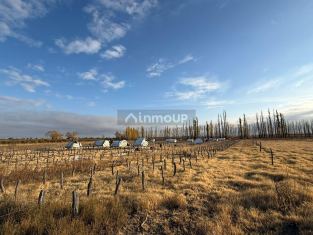 San Rafael Finca de 193 Has, con Producción e Infraestructura  - Jaime Prats