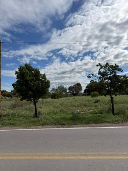 Terreno en Venta en General alvear, Mendoza