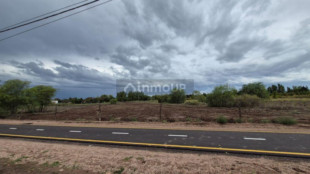 Terreno en Venta en General alvear, Mendoza