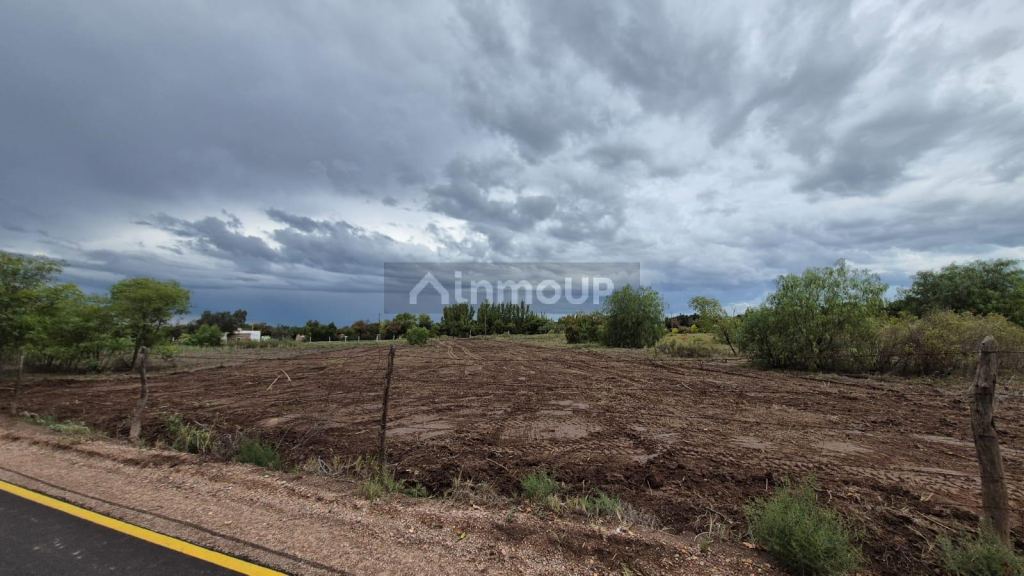 Terreno en Venta en General alvear, Mendoza