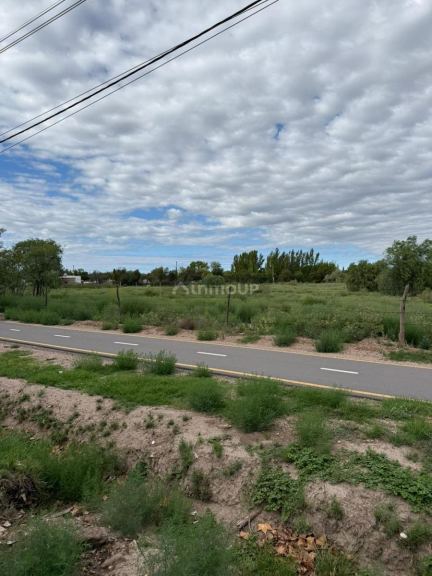 Terreno en Venta en General alvear, Mendoza