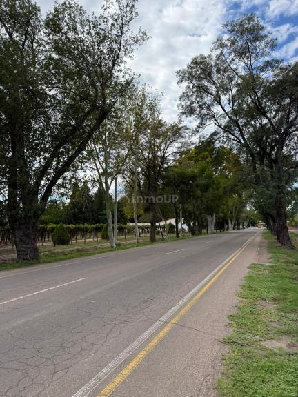 Terreno en Venta en General alvear, Mendoza