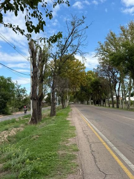 Terreno en Venta en General alvear, Mendoza