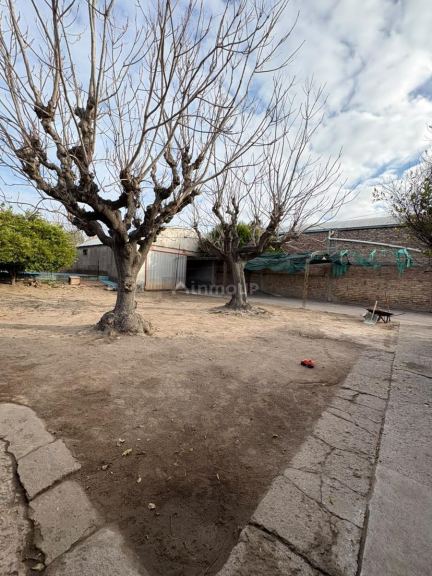 Casa en Venta en General alvear, Mendoza