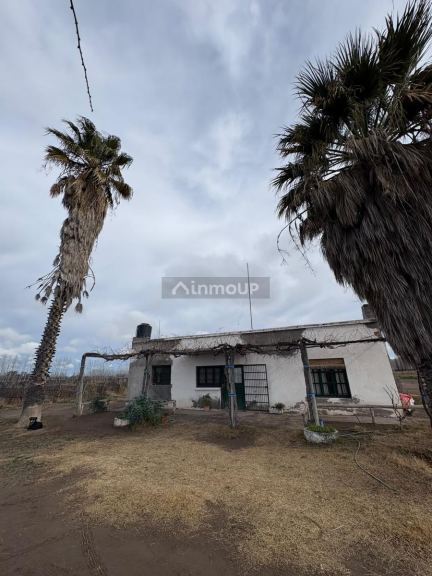 Finca en Venta en General alvear, Mendoza
