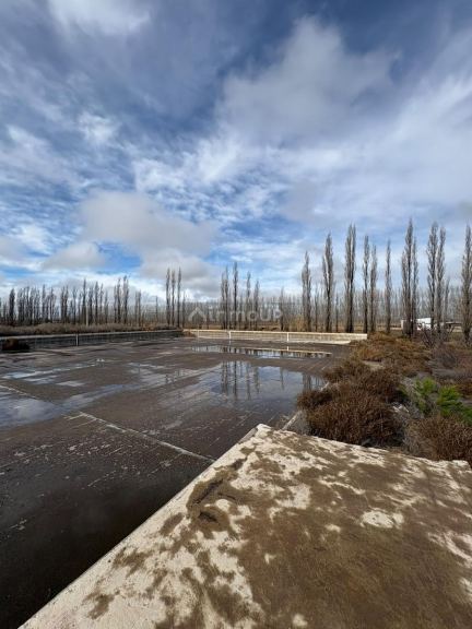 Finca en Venta en General alvear, Mendoza