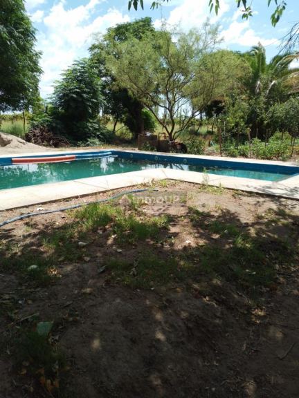 Finca en Venta en General alvear, Mendoza